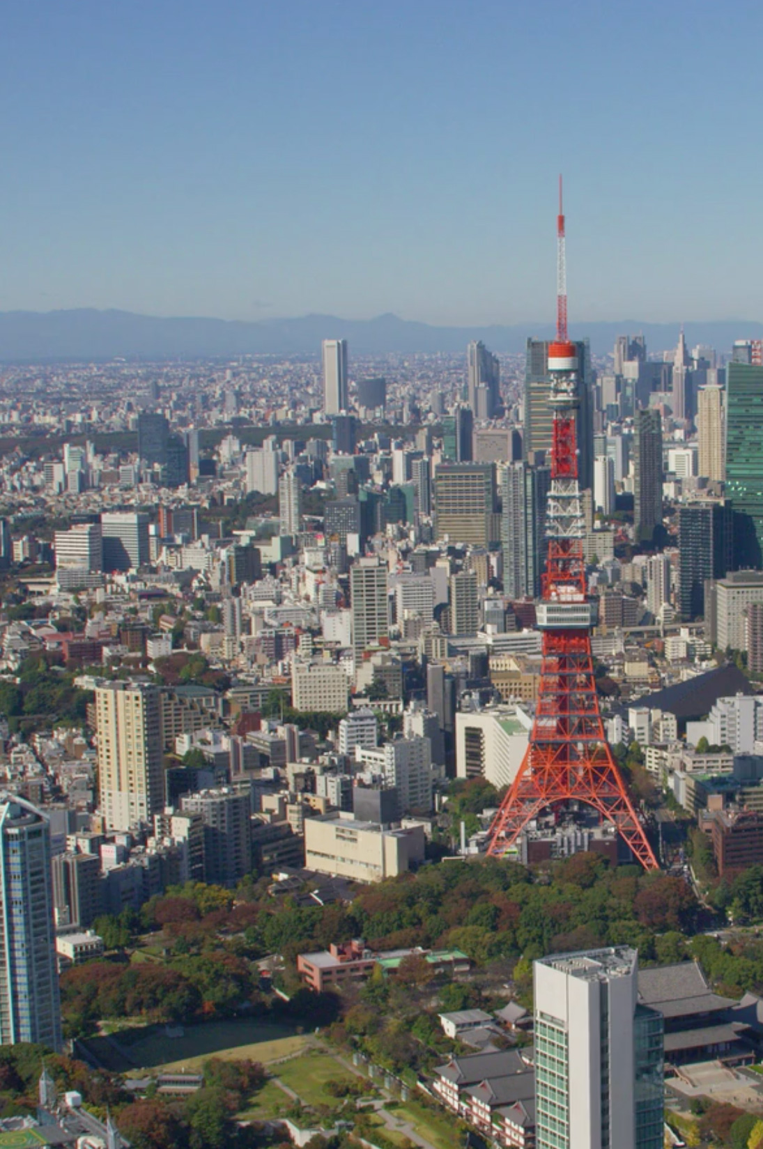 株式会社NDCテクノロジー